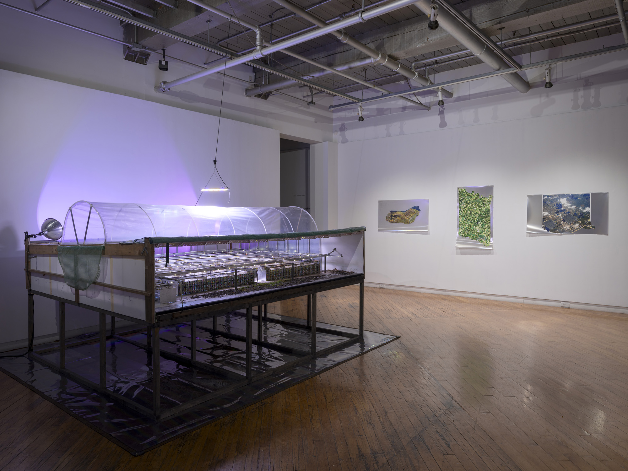 cold data [exhibition 1].jpg